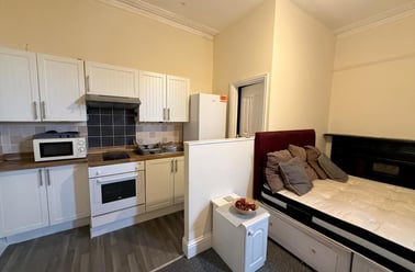 Alma Road, North Hill, Plymouth - Image 2